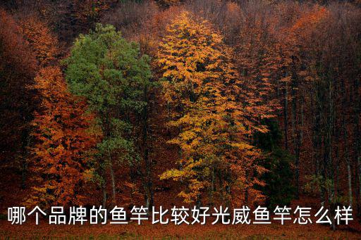 廣州哪里有光威魚竿,哪里能買到光威魚竿