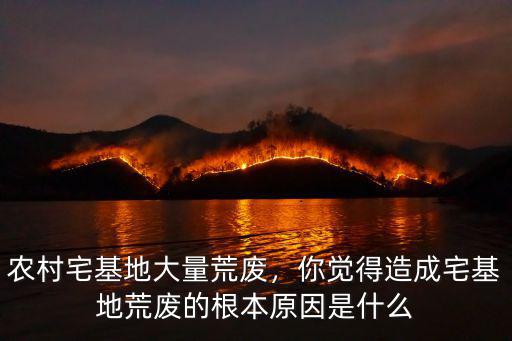 舟山有多少荒廢的宅基地,農村宅基地大量荒廢