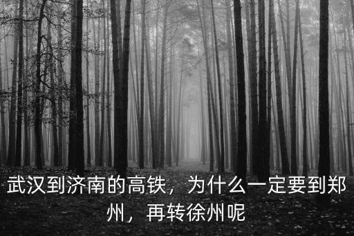 濟南到武漢高鐵多少錢,為什么一定要到鄭州