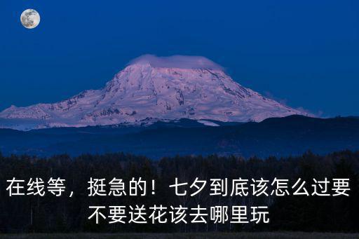 在線等，挺急的！七夕到底該怎么過(guò)要不要送花該去哪里玩