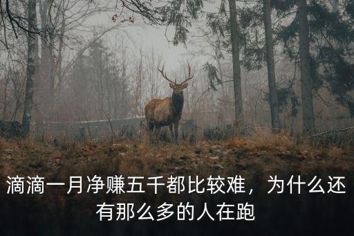 在煙臺跑滴滴一天可以跑多少錢,為什么還有那么多的人在跑