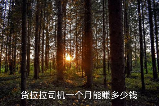 貨拉拉司機一個月能賺多少錢