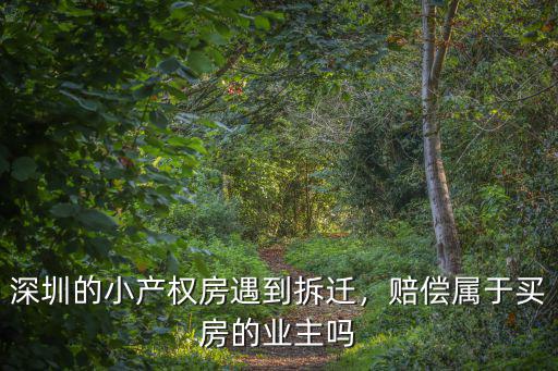 深圳的小產權房遇到拆遷，賠償屬于買房的業主嗎