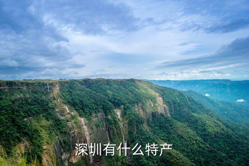 深圳哪里有養鴨,深圳有什么特產