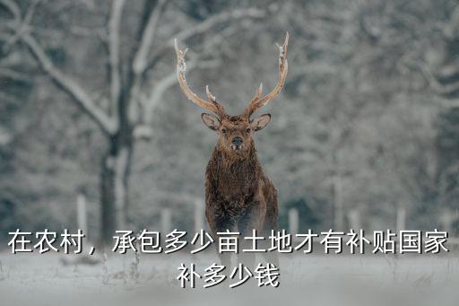 農村承包土地500畝山東補貼多少,承包多少畝土地才有補貼