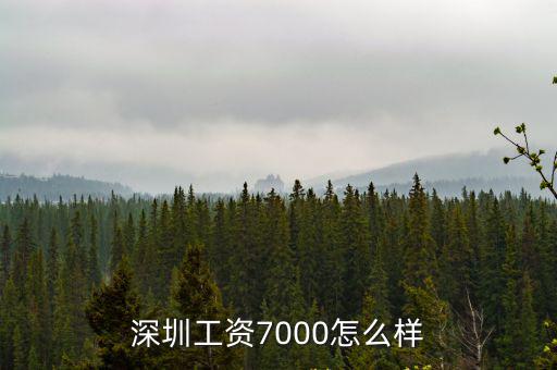 上海和廣州深圳工資待遇怎么樣2015年,深圳工資7000怎么樣