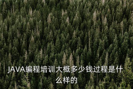 JAVA編程培訓大概多少錢過程是什么樣的