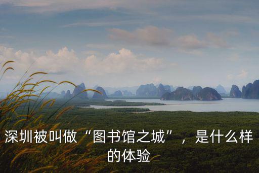 深圳被叫做“圖書館之城”，是什么樣的體驗