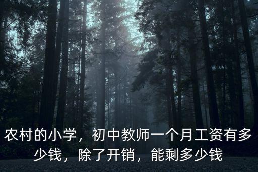 菏澤教師編工資多少,初中教師一個月工資有多少錢