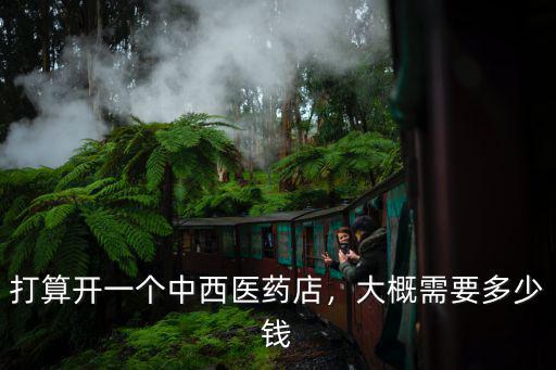 打算開(kāi)一個(gè)中西醫(yī)藥店，大概需要多少錢(qián)