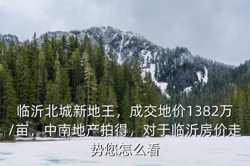 臨沂地王多少錢一畝,臨沂北城新地王