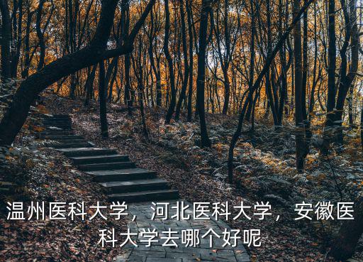 溫州醫科大學，河北醫科大學，安徽醫科大學去哪個好呢