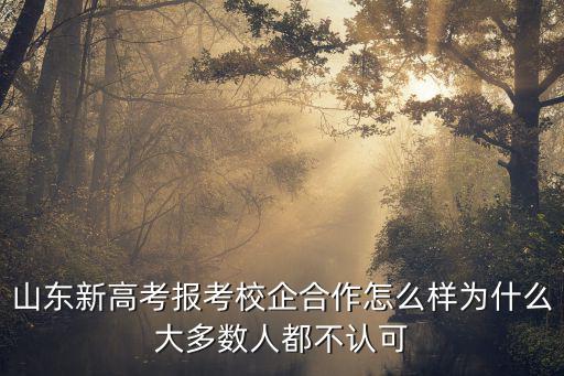 山東新高考報考校企合作怎么樣為什么大多數人都不認可