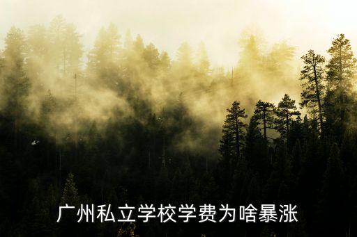 廣州私立學校學費為啥暴漲