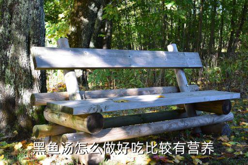 廣東生魚怎么做煲湯好吃,黑魚湯怎么做好吃