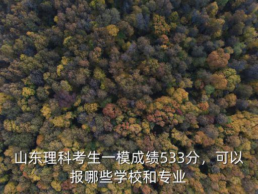 山東理科考生一模成績533分，可以報哪些學校和專業
