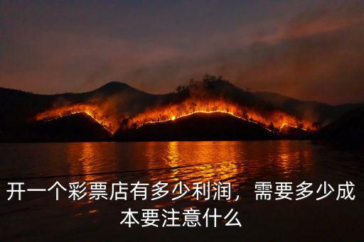濟南開一家彩票店需要多少成本,需要多少成本
