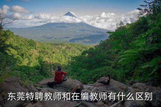 東莞特聘教師和在編教師有什么區別