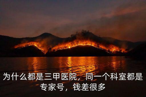 為什么都是三甲醫院，同一個科室都是專家號，錢差很多