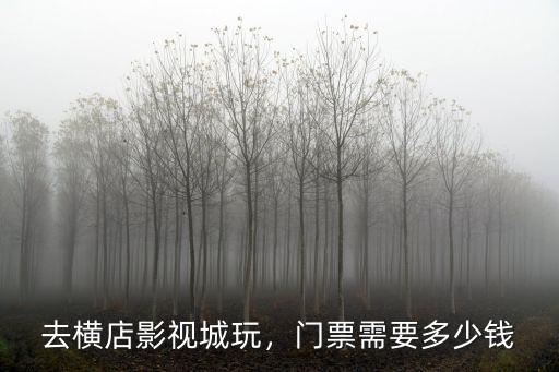 寧波跟團(tuán)游橫店影視城需要多少錢,去橫店影視城玩