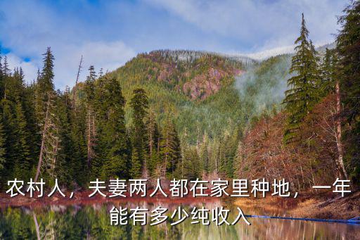 農村人，夫妻兩人都在家里種地，一年能有多少純收入