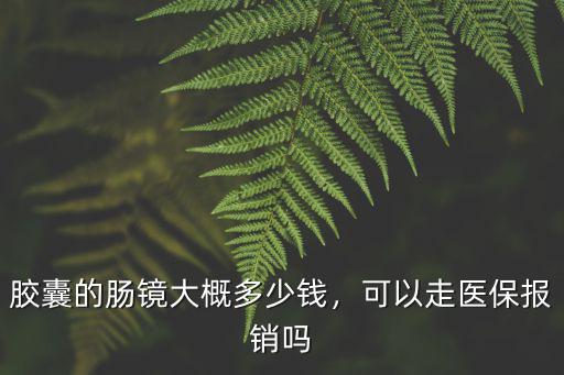 廣東無痛腸鏡報銷多少錢,做腸鏡要花多少錢