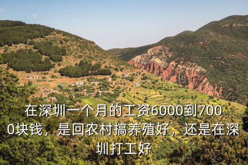 深圳外來打工的年收入多少,2019年在外打工的農民工