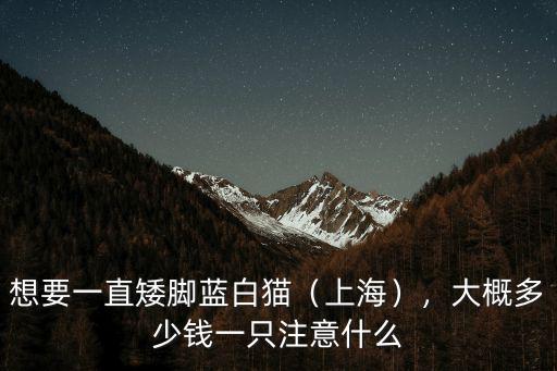 杭州藍白貓多少錢一只正常價,銀漸層貓多少錢一只