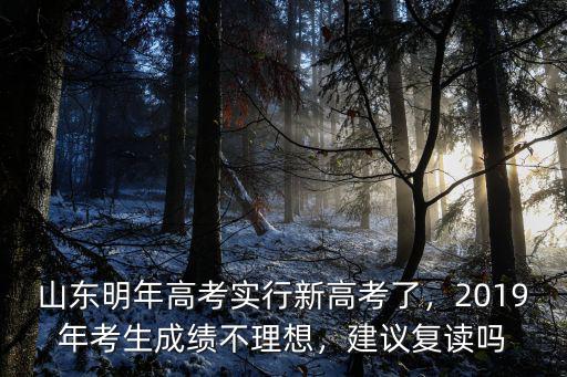 山東高考2019年生源是多少,山東明年高考實行新高考了