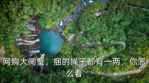 網購大閘蟹，捆的繩子都有一兩，你怎么看