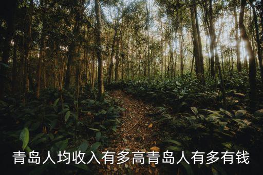 青島人均收入有多高青島人有多有錢