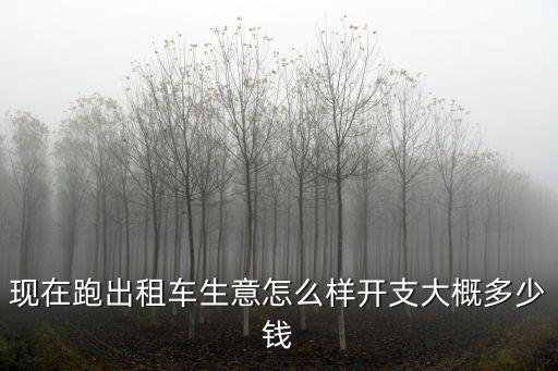 杭州開出租車怎么樣能跑多少錢,開支大概多少錢