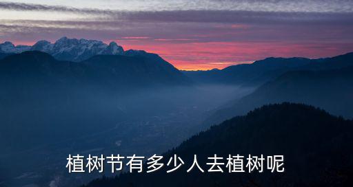 植樹節(jié)有多少人去植樹呢