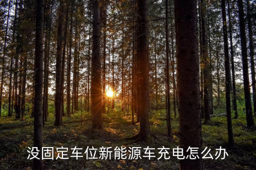 沒固定車位新能源車充電怎么辦