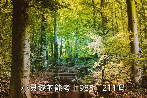 小縣城的能考上985，211嗎