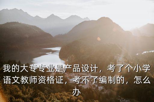 我的大專專業是產品設計，考了個小學語文教師資格證，考不了編制的，怎么辦