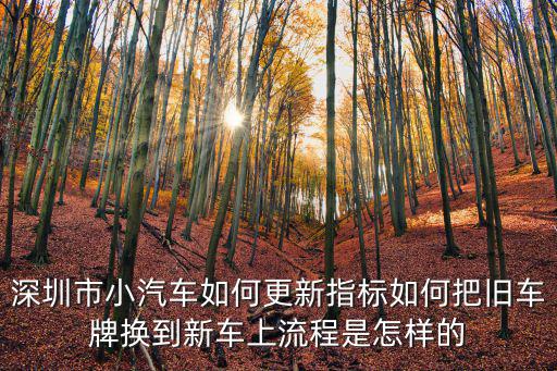 深圳怎么申請指標(biāo)更新,在深圳換車更新指標(biāo)
