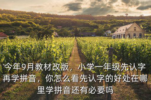廣東認字拼音加盟哪里好,先認字的好處在哪里