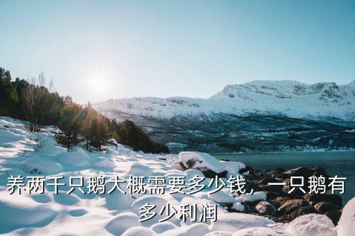 濰坊養(yǎng)鵝多少錢一只,養(yǎng)兩千只鵝大概需要多少錢
