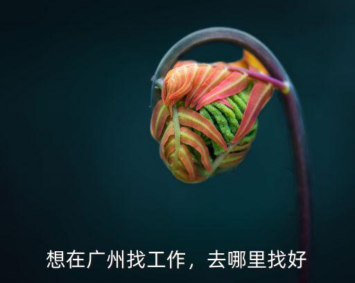 廣州番禺兼職怎么找,想在廣州找工作