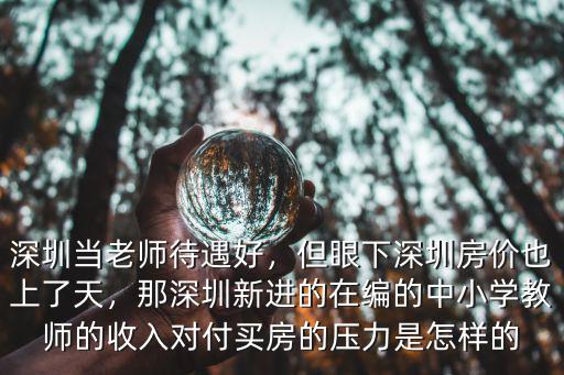 深圳當(dāng)老師待遇好，但眼下深圳房價(jià)也上了天，那深圳新進(jìn)的在編的中小學(xué)教師的收入對付買房的壓力是怎樣的