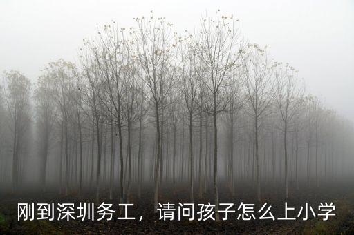 深圳孩子開(kāi)學(xué)怎么辦理,請(qǐng)問(wèn)孩子怎么上小學(xué)