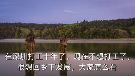 在深圳打工十年了，現在不想打工了，很想回鄉下發展，大家怎么看