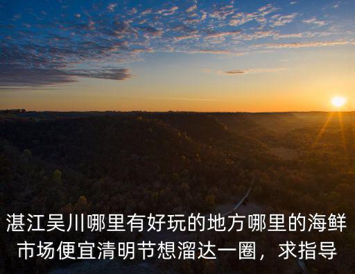 廣東吳川有哪里好玩的,哪里的海鮮市場便宜