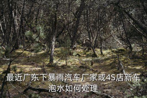 廣東下大暴雨怎么辦,廣州為什么會突然下特大暴雨