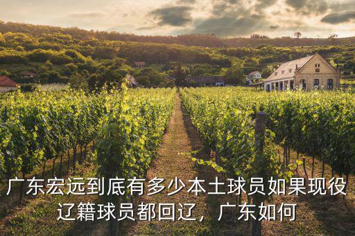 廣東宏遠到底有多少本土球員如果現役遼籍球員都回遼，廣東如何