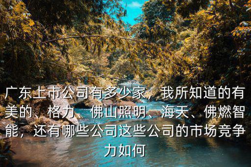 佛山有多少間公司,廣東上市公司有多少家