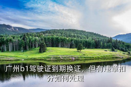 廣州有扣分的違章怎么處理,廣州b1駕駛證到期換證