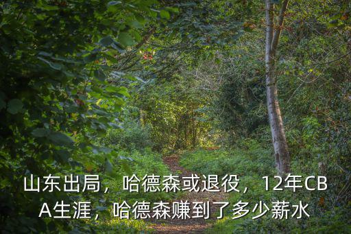山東出局，哈德森或退役，12年CBA生涯，哈德森賺到了多少薪水