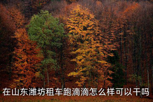 在山東濰坊租車跑滴滴怎么樣可以干嗎